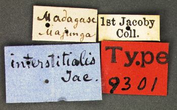 Media type: image; Entomology 9301   Aspect: labels